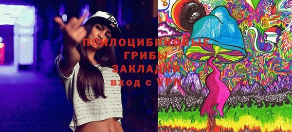 дурь Коряжма