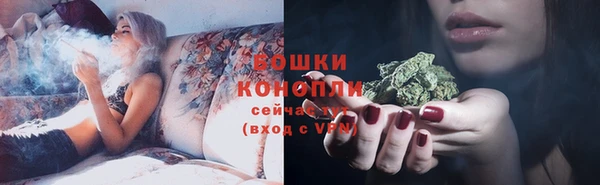 амф Козельск