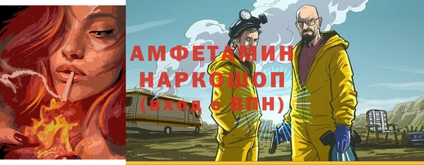 амф Козельск