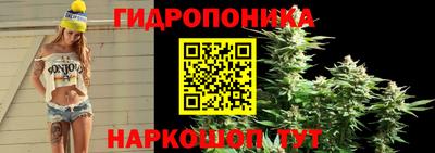 соль ск Будённовск