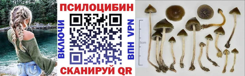 Псилоцибиновые грибы мухоморы Кувандык