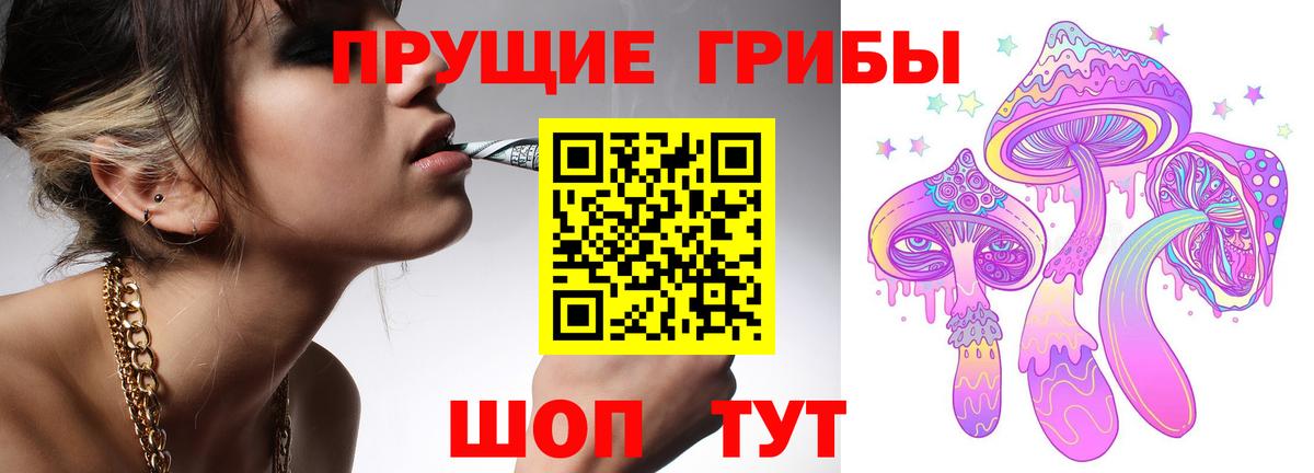 Псилоцибиновые грибы Psilocybe  Вход с VPN  Кувандык  Псилоцибиновые грибы MAGIC MUSHROOMS 