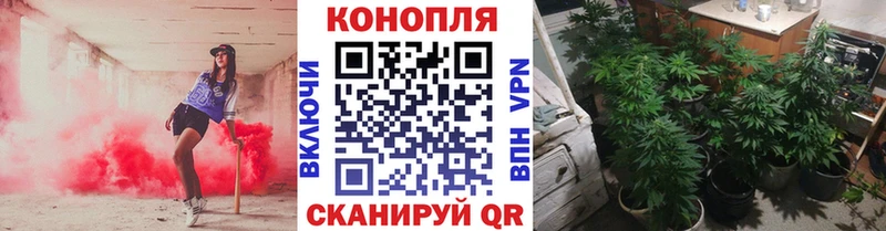 где купить наркоту  Кувандык  Бошки Шишки индика 